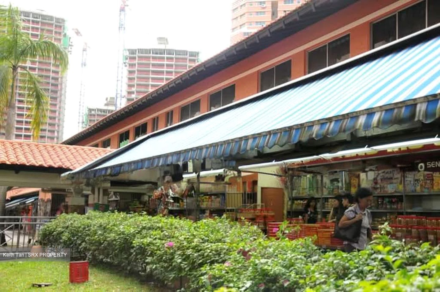 Bishan Street 24 (D20), Shop House #534867131